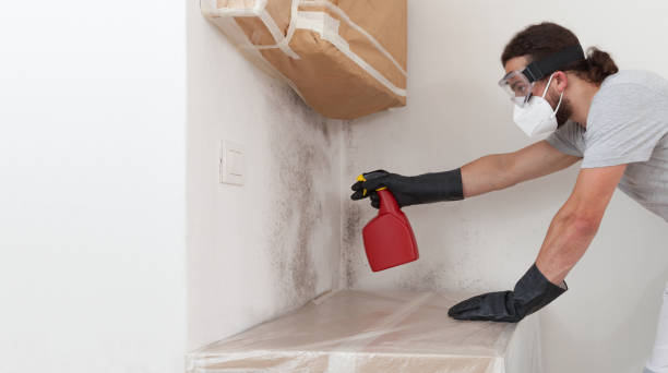 Professional Basement Mold Remediation technician working in Hiram, GA