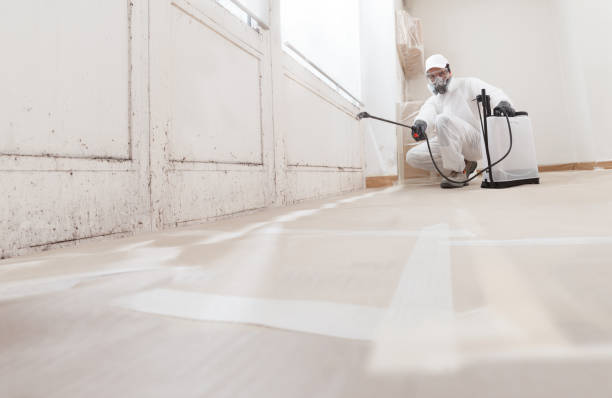 24/7 Emergency Basement Mold Remediation experts in Hiram, GA